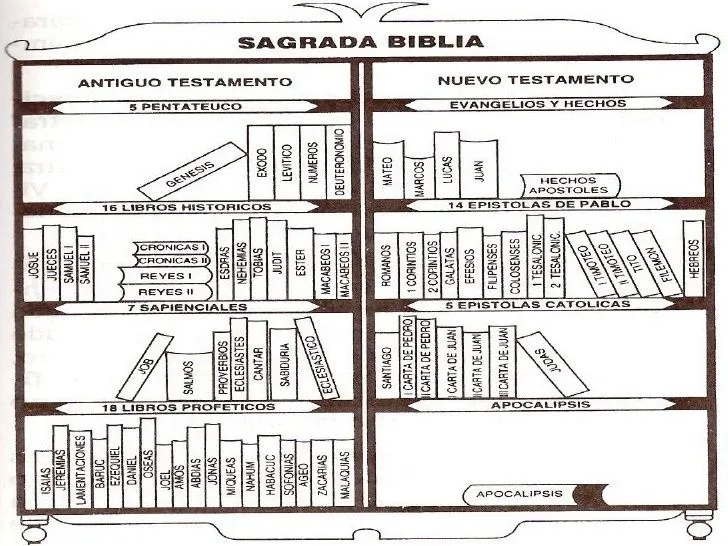 La Biblia archivos - El Profesor de Religión La Biblia archivos - El Profesor de Religión