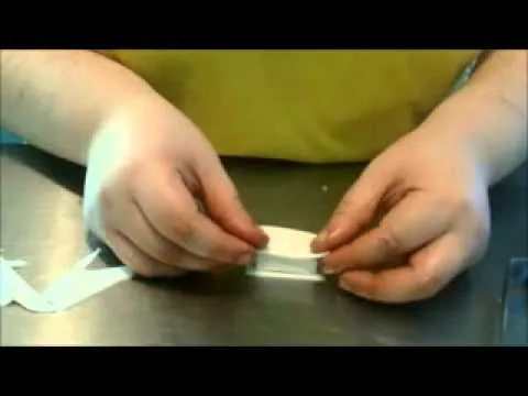 Biblia de fondant - YouTube