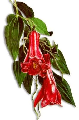 BIBLIOCRA Escuela Antonio Tirado Lanas: septiembre 2011