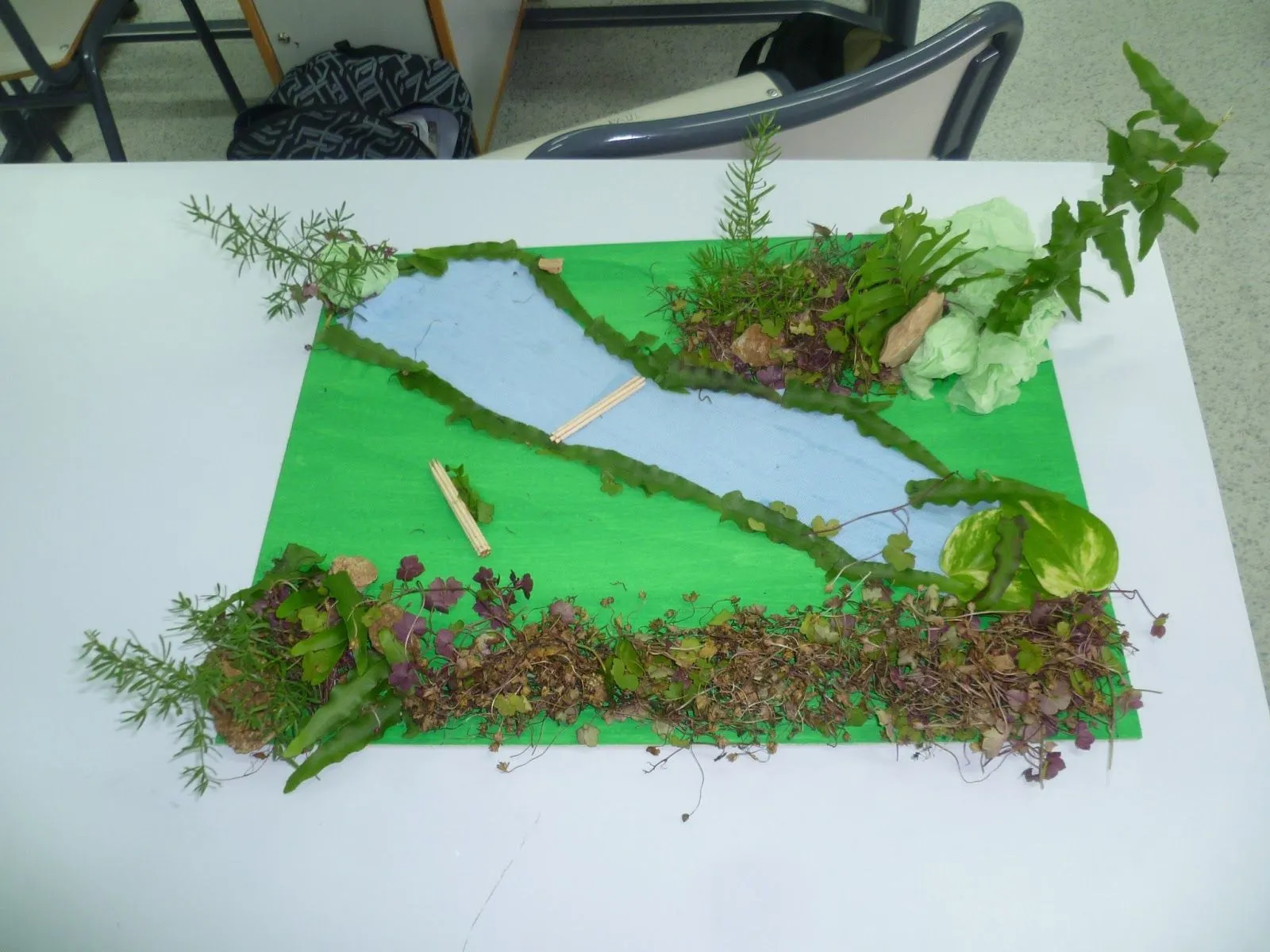 La Biblioteca: Descubriendo los paisajes naturales. La Biblioteca: Descubriendo los paisajes naturales.
