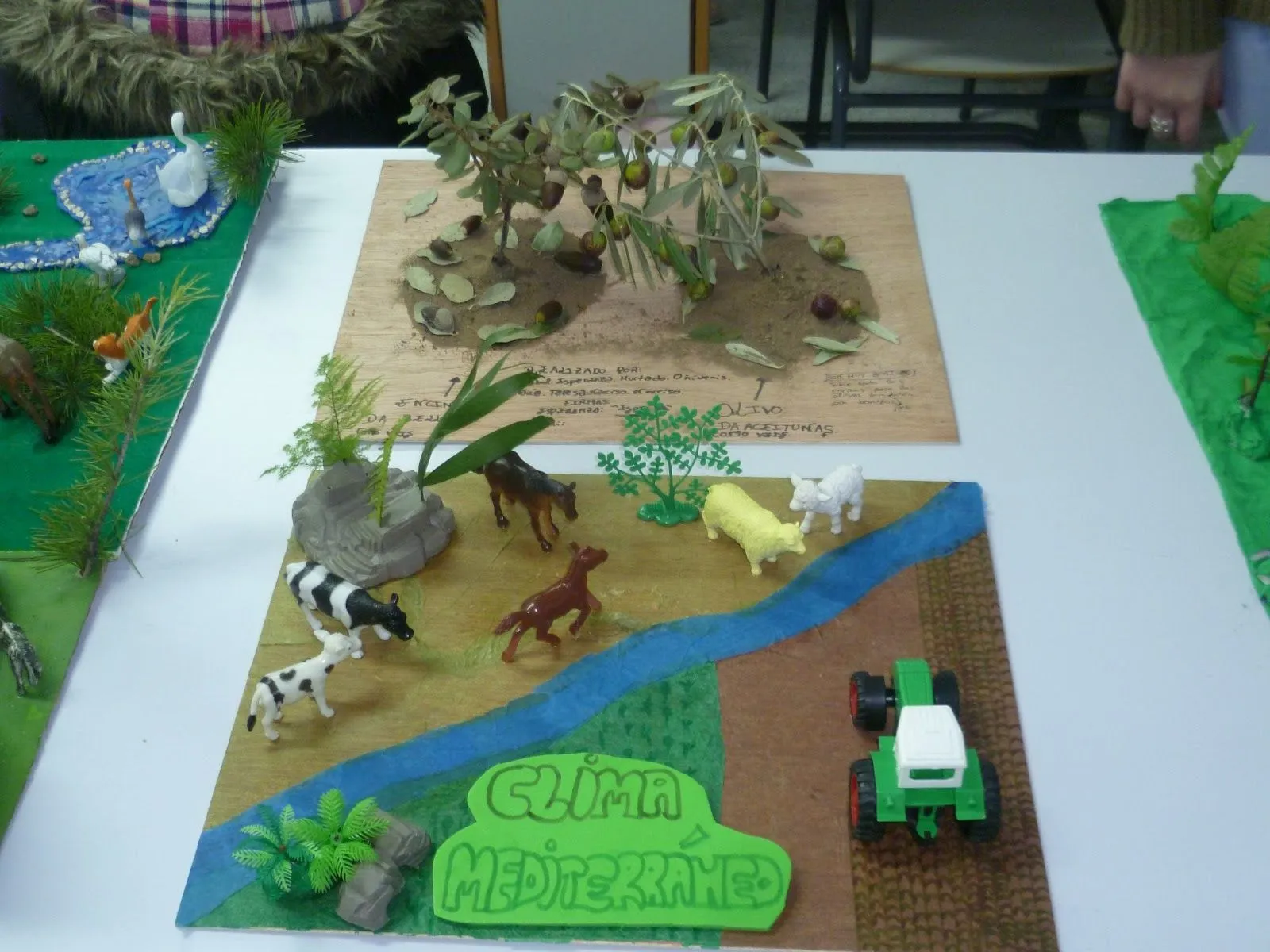 La Biblioteca: Descubriendo los paisajes naturales. La Biblioteca: Descubriendo los paisajes naturales.