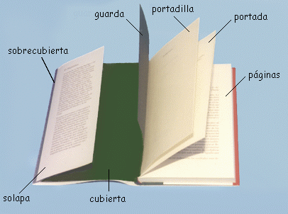 BIBLIOTECONOMÍA: F. PROCESO TÉCNICO