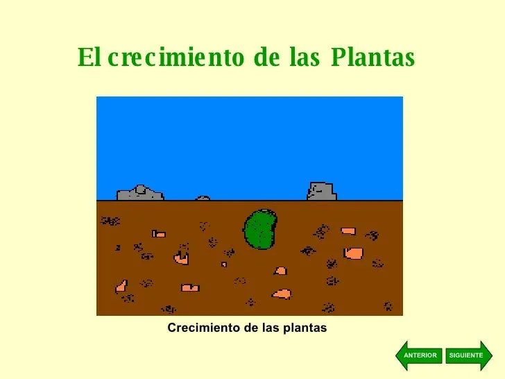 bienvenido-al-maravilloso- ...