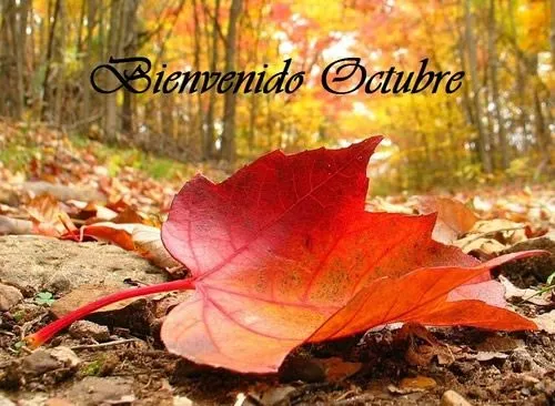 Bienvenido Octubre - 13 Imágenes y Fotos para Compartir - ImagenesCool