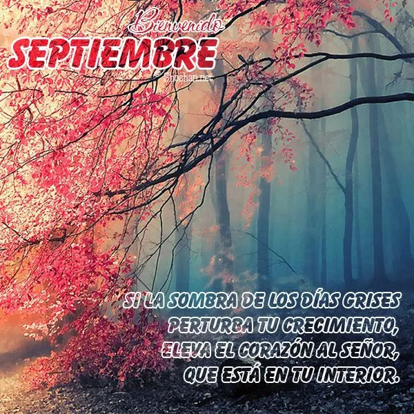 Bienvenido Septiembre, imagen para descargar y compartir en Facebook
