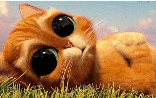 Bienvenidos a mi Blog | Las mejores Frases y Estados de la red!