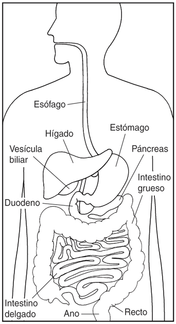 Bienvenidos al blog de la profesora Alicia: 2012- Bienvenidos al blog de la profesora Alicia: 2012-