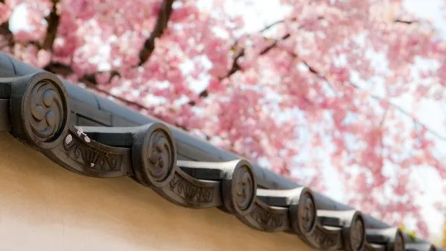 Bienvenidos a Conoce Japón | Conoce Japón