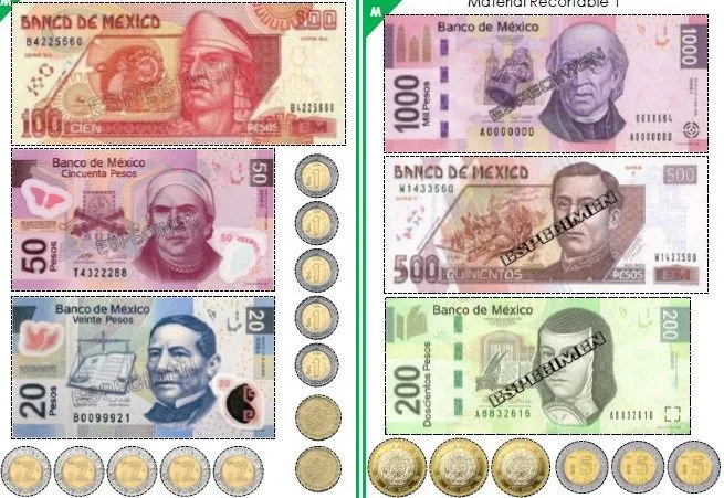 Billetes Y Monedas | Material Educativo