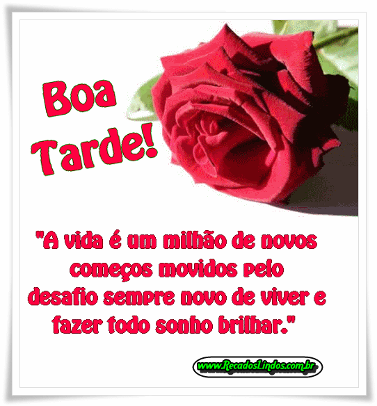 Bing Images - http://www.bing.com:80/images/search?q=Boa+Tarde+ ... Bing Images - http://www.bing.com:80/images/search?q=Boa+Tarde+ ...