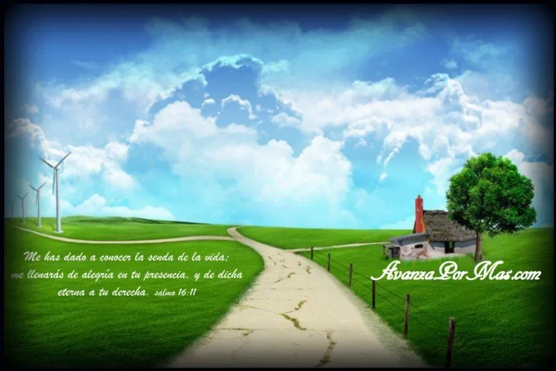 Bing Images - http://www.bing.com:80/images/search?q=Fondos+De+ ... Bing Images - http://www.bing.com:80/images/search?q=Fondos+De+ ...