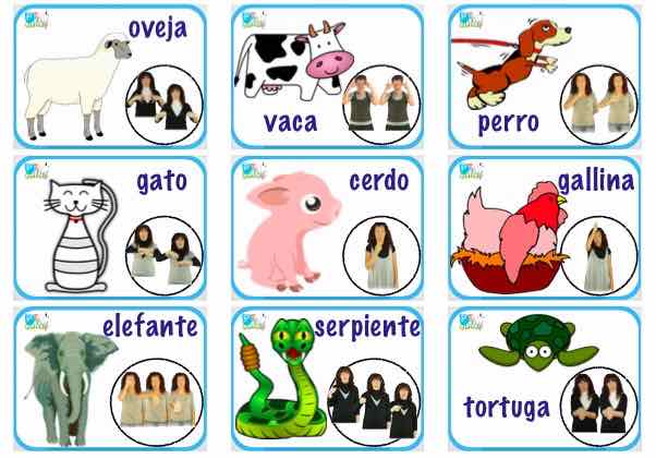 bingo-animales.jpg