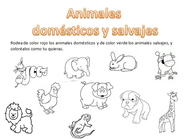 Colorear animales domesticos y salvajes - Imagui Colorear animales domesticos y salvajes - Imagui