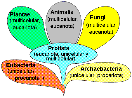 Biodiversidad
