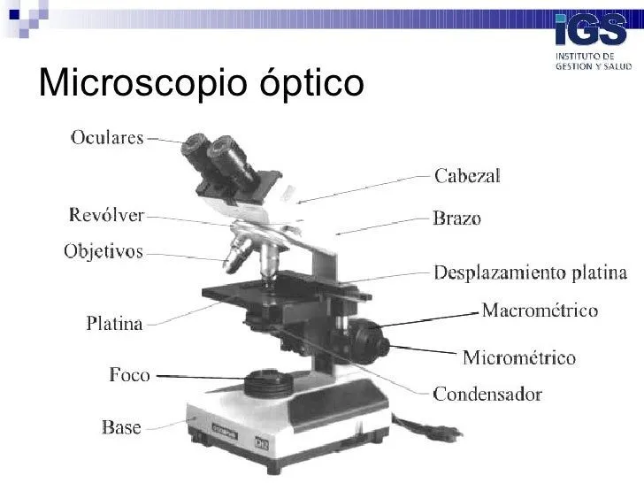 BiologíA General 2008 SesióN 03 Estudio De La BiologíA