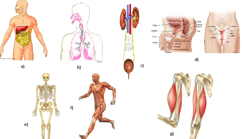 La Biología 3º de la ESO. IES Granadilla de Abona