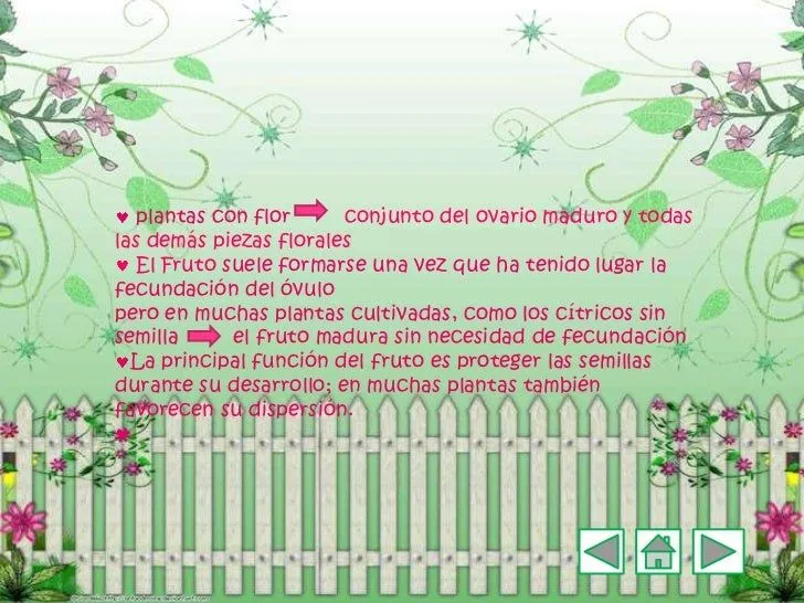 biologia-6-728.jpg?cb=1323207539