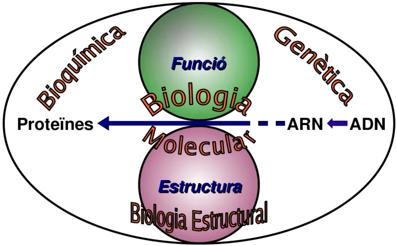 LA BIOLOGIA: IMÁGENES