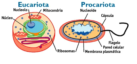 biologia: marzo 2014