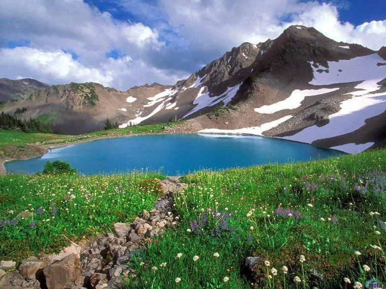Biologia: Paisajes