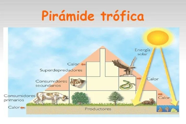 biologia-presentacion- ...