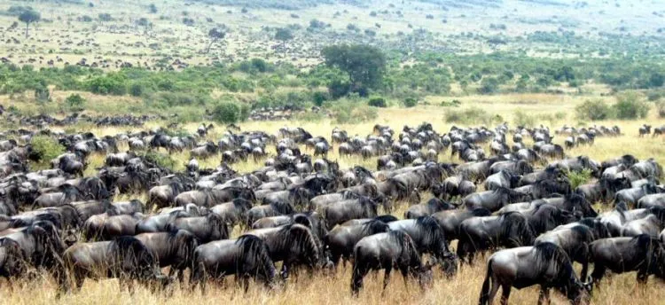 La biología: septiembre 2010