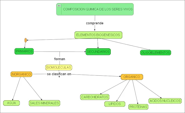 biologia: Tema 7. Características generales de los seres vivos