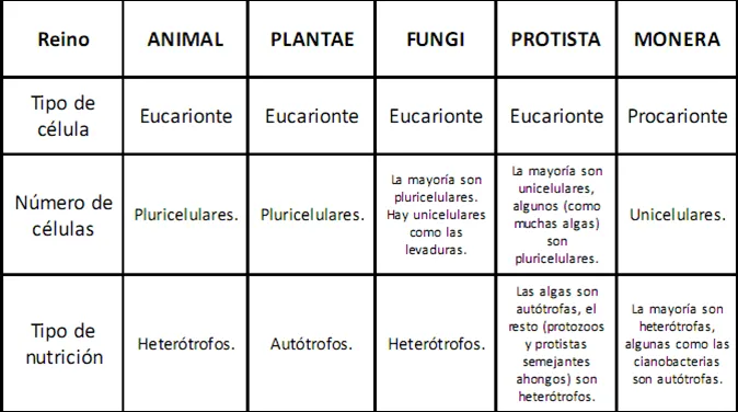 La biología y... YHON: Para repasar los 5 reinos La biología y... YHON: Para repasar los 5 reinos