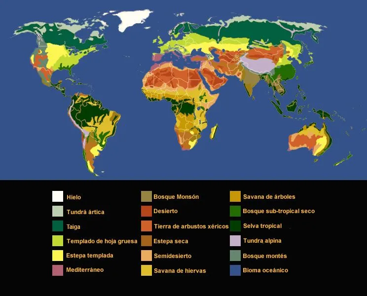Biomas y Ecosistemas - Ventanas al Universo