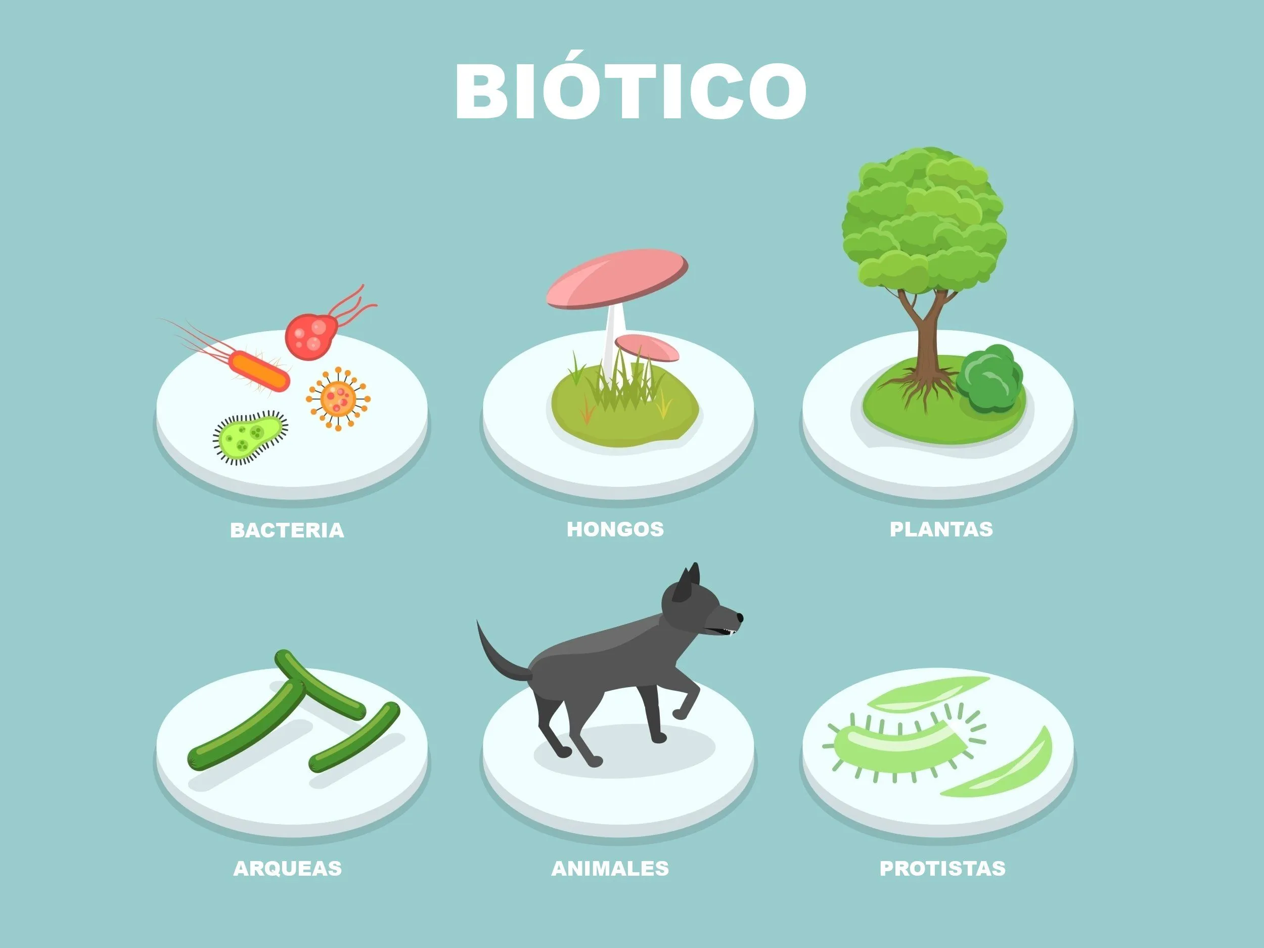 Biótico: qué es y qué Factores Bióticos hay - Significados Biótico: qué es y qué Factores Bióticos hay - Significados