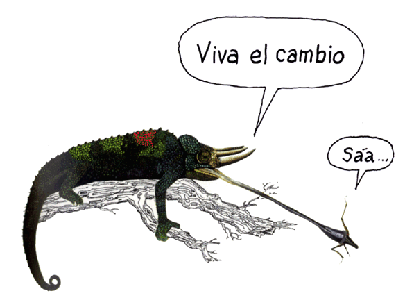 bioygeodivinapastora - 7.1. Relaciones alimentarias