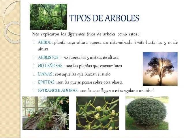 bitacora-jardin-botanico-2-638 ...