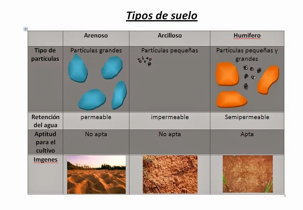 Bitácora de Luka: tipos de suelos
