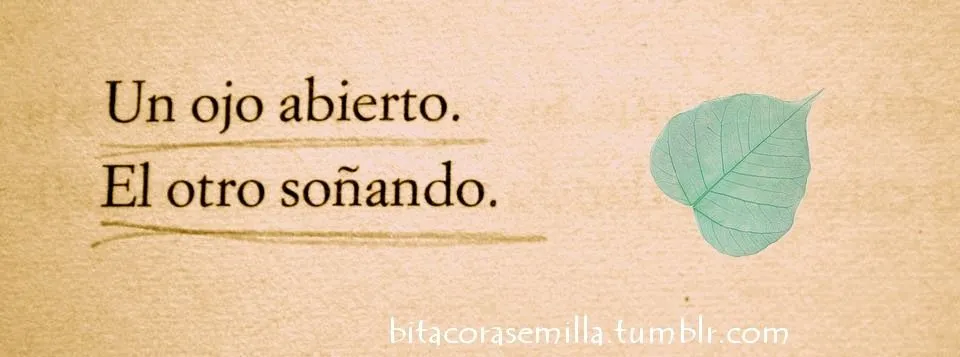 Bitácora Semilla :.~