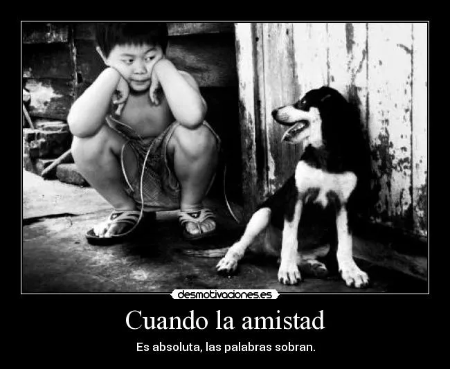 mas que bixos: Amor incondicional, una amistad, un perro mas que bixos: Amor incondicional, una amistad, un perro