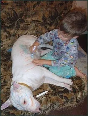 BizarreARTE: Niño dibujando un perro