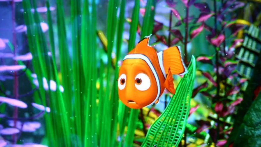 Black Sheep Reviews: A film review site.: FINDING NEMO 3D Black Sheep Reviews: A film review site.: FINDING NEMO 3D