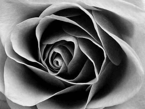 Blanco &amp; Negro | Mabel Blanco y la pintura decorativa