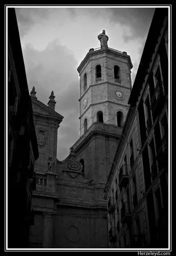 blanco y negro | Los archivos de Vicente Alfonso blanco y negro | Los archivos de Vicente Alfonso
