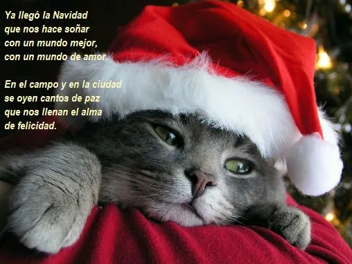 NUESTRO BLOG PARA 5º Y 6º.: ES NAVIDAD.CHRISTMAS TIME NUESTRO BLOG PARA 5º Y 6º.: ES NAVIDAD.CHRISTMAS TIME