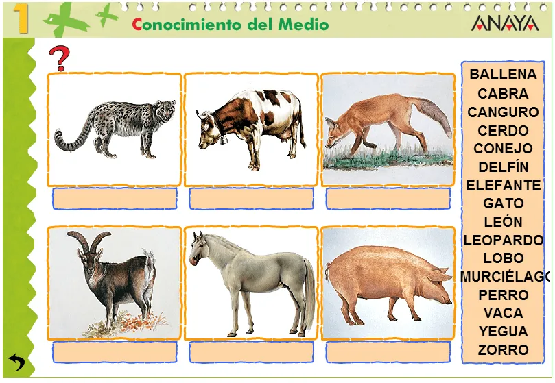 Blogs de Ana Bastida 1º y 2º: ANIMALES MAMÍFEROS Blogs de Ana Bastida 1º y 2º: ANIMALES MAMÍFEROS