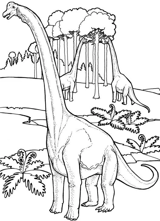 Un blog de animales: Dinosaurios para colorear