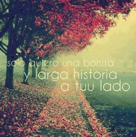 Blog Archives - Frases cortas