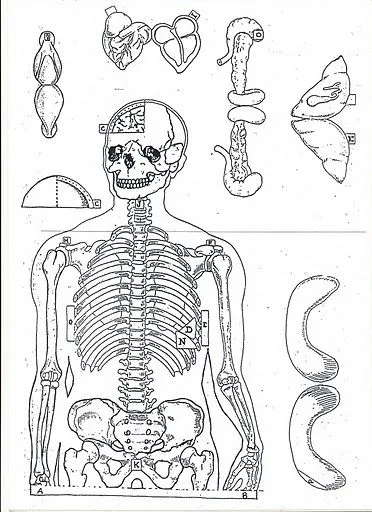 Blog de Biología: Sistemas del cuerpo humano Blog de Biología: Sistemas del cuerpo humano