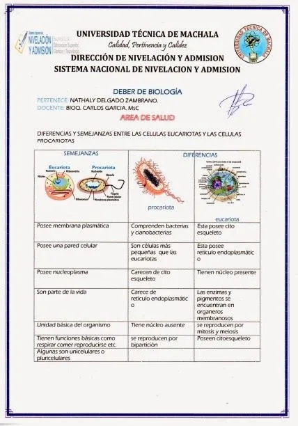 Blog de Biologia Vo1: TRABAJOS EXTRACLASE