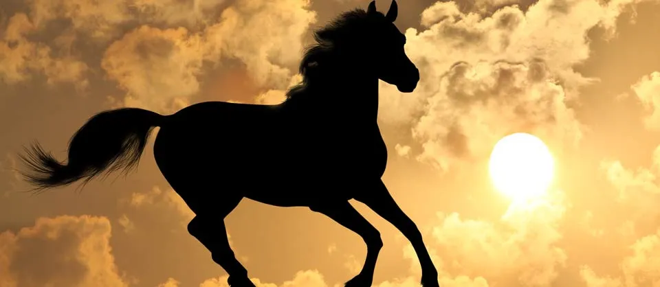 blog-caballo-en-pozo | Curación del Alma – Emisaria del Amor y la Paz.