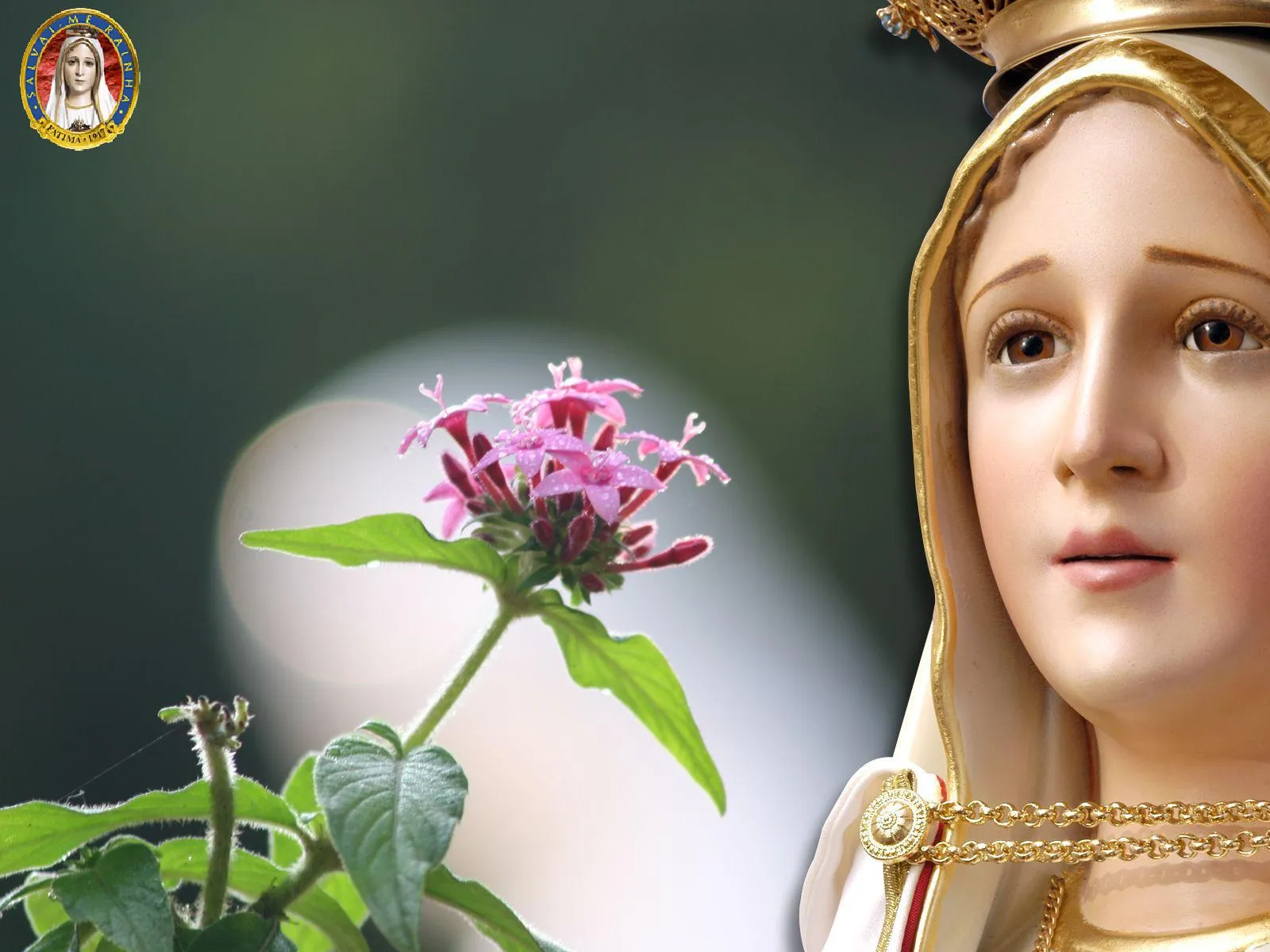 Gifs y Fondos PazenlaTormenta: FONDOS DE PANTALLA VIRGEN DE FÁTIMA