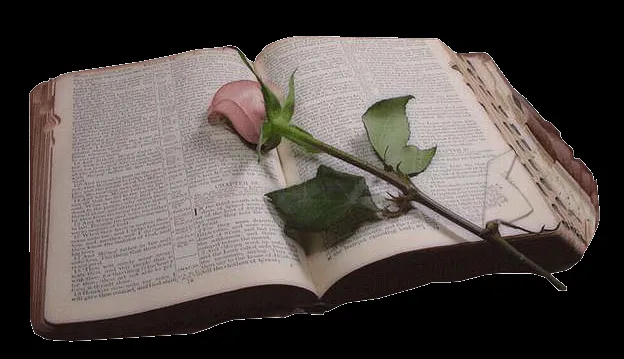 BLOG CATÓLICO GOTITAS ESPIRITUALES: MES DE SEPTIEMBRE - MES DE LA ...