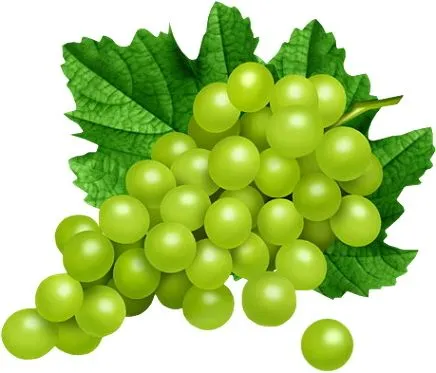 BLOG CATÓLICO GOTITAS ESPIRITUALES: EL RACIMO DE UVAS BLOG CATÓLICO GOTITAS ESPIRITUALES: EL RACIMO DE UVAS