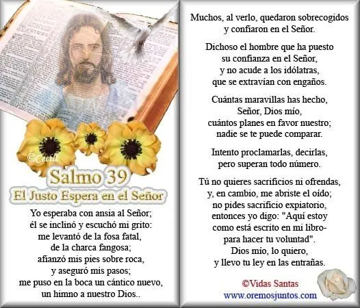 BLOG CATÓLICO GOTITAS ESPIRITUALES: SALMOS BLOG CATÓLICO GOTITAS ESPIRITUALES: SALMOS